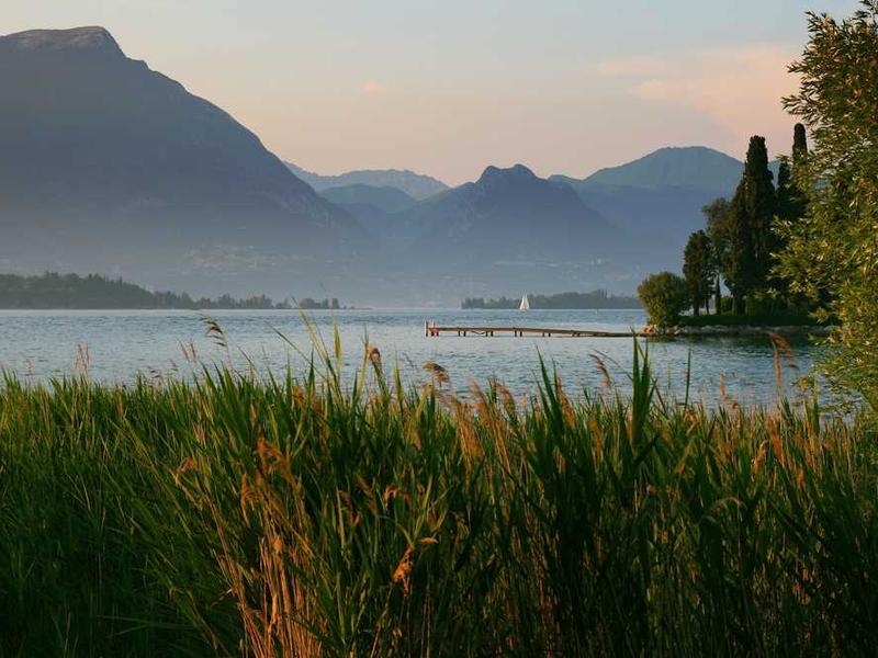 Vintage Leather Sofa - 3 Seater