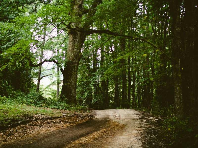 iPhone 14 Pro Max - Excellent Condition